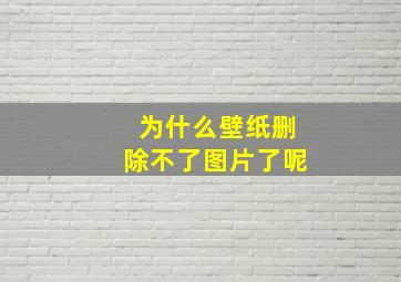 为什么壁纸删除不了图片了呢