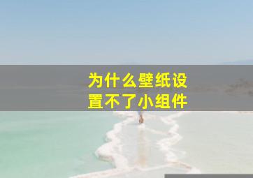 为什么壁纸设置不了小组件