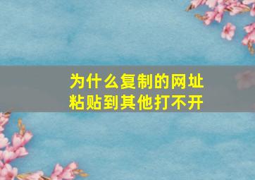 为什么复制的网址粘贴到其他打不开