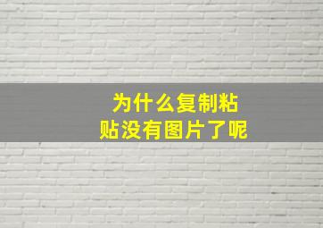 为什么复制粘贴没有图片了呢