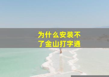 为什么安装不了金山打字通