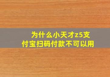 为什么小天才z5支付宝扫码付款不可以用