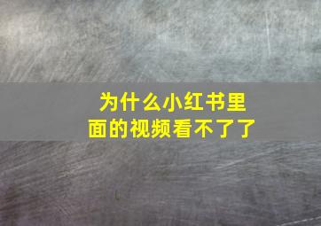 为什么小红书里面的视频看不了了