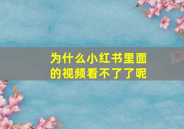 为什么小红书里面的视频看不了了呢