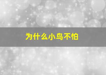 为什么小鸟不怕