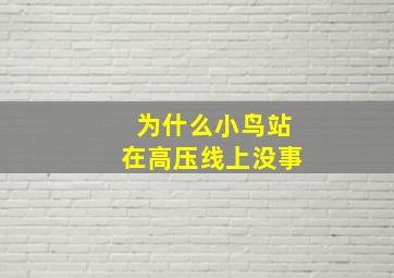 为什么小鸟站在高压线上没事