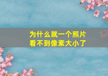 为什么就一个照片看不到像素大小了