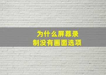 为什么屏幕录制没有画面选项