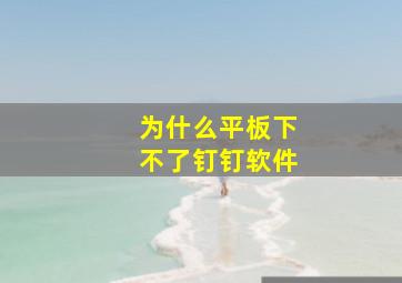 为什么平板下不了钉钉软件