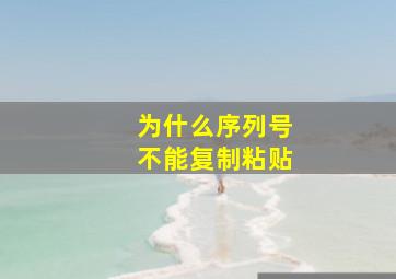 为什么序列号不能复制粘贴