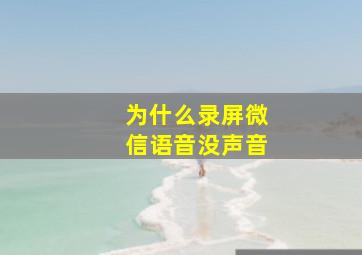 为什么录屏微信语音没声音