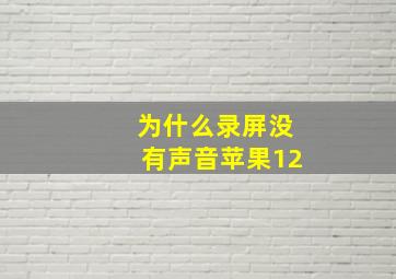 为什么录屏没有声音苹果12