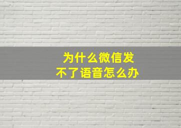 为什么微信发不了语音怎么办