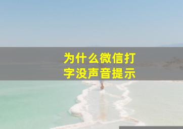 为什么微信打字没声音提示