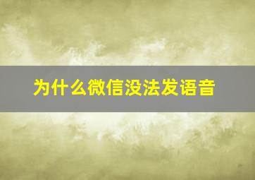 为什么微信没法发语音