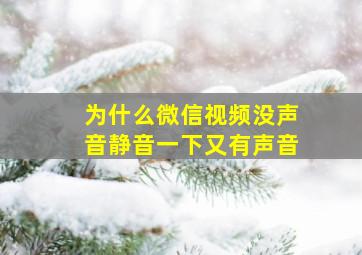 为什么微信视频没声音静音一下又有声音