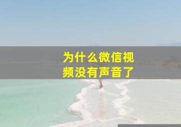 为什么微信视频没有声音了