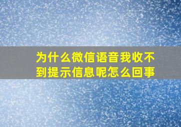 为什么微信语音我收不到提示信息呢怎么回事