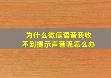 为什么微信语音我收不到提示声音呢怎么办