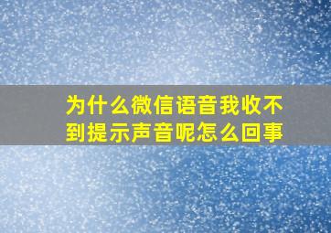 为什么微信语音我收不到提示声音呢怎么回事