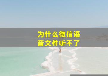 为什么微信语音文件听不了