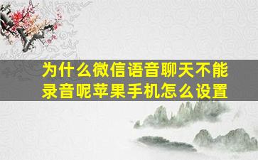 为什么微信语音聊天不能录音呢苹果手机怎么设置