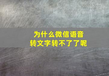 为什么微信语音转文字转不了了呢