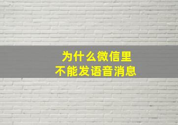 为什么微信里不能发语音消息