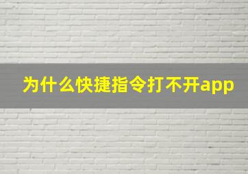 为什么快捷指令打不开app