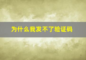 为什么我发不了验证码