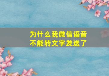 为什么我微信语音不能转文字发送了