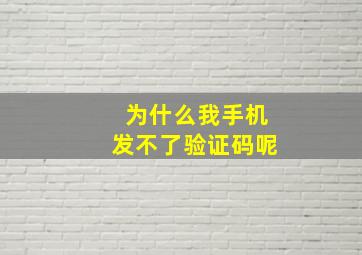 为什么我手机发不了验证码呢