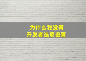 为什么我没有开发者选项设置