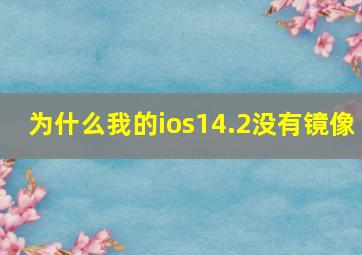 为什么我的ios14.2没有镜像