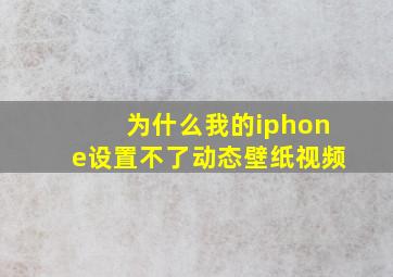 为什么我的iphone设置不了动态壁纸视频