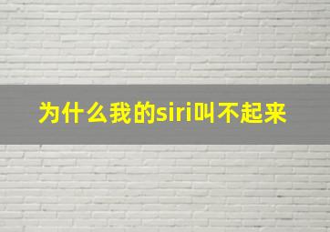 为什么我的siri叫不起来