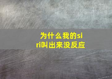 为什么我的siri叫出来没反应