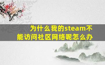 为什么我的steam不能访问社区网络呢怎么办