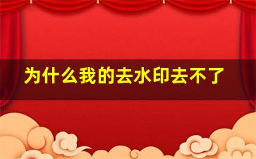 为什么我的去水印去不了