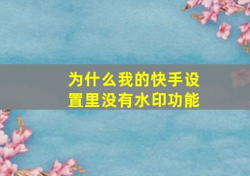 为什么我的快手设置里没有水印功能