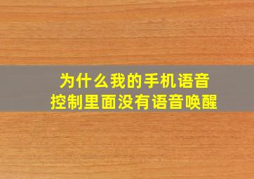 为什么我的手机语音控制里面没有语音唤醒