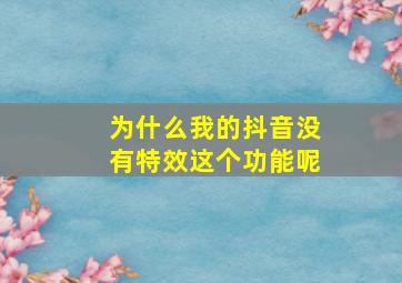 为什么我的抖音没有特效这个功能呢