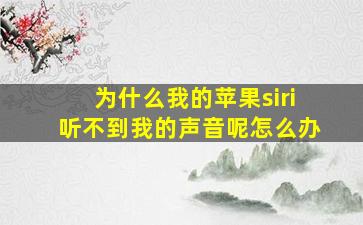 为什么我的苹果siri听不到我的声音呢怎么办