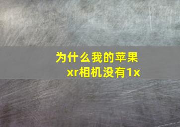 为什么我的苹果xr相机没有1x