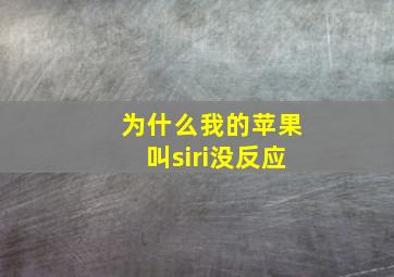 为什么我的苹果叫siri没反应