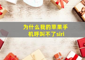 为什么我的苹果手机呼叫不了siri