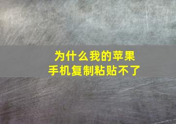 为什么我的苹果手机复制粘贴不了