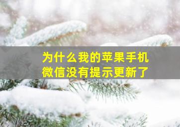 为什么我的苹果手机微信没有提示更新了