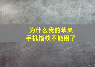 为什么我的苹果手机指纹不能用了