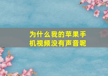 为什么我的苹果手机视频没有声音呢